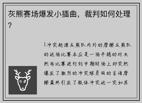 灰熊赛场爆发小插曲，裁判如何处理？