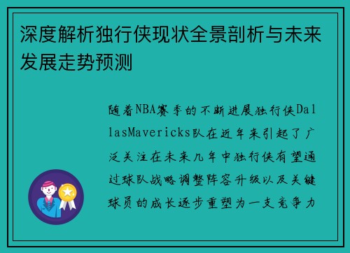 深度解析独行侠现状全景剖析与未来发展走势预测